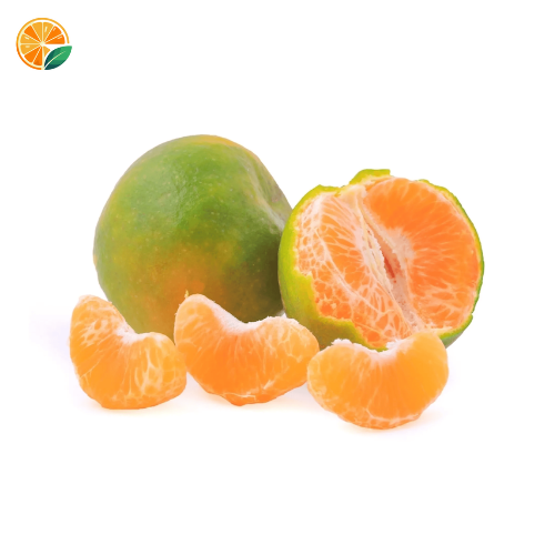 Fresh Nagpur oranges – Handpicked from Warud farms, rich in vitamin C