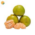 Nagpur Oranges A grade 10Kg Direct from Famers