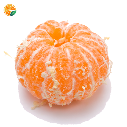 Fresh Nagpur oranges – Handpicked from Warud farms, rich in vitamin C