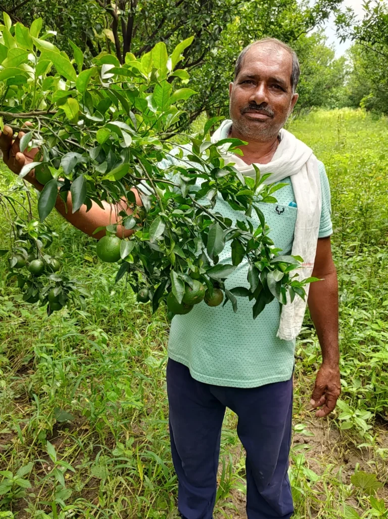 WhatsApp Image 2024-08-31 at 18.40.25_800657b6