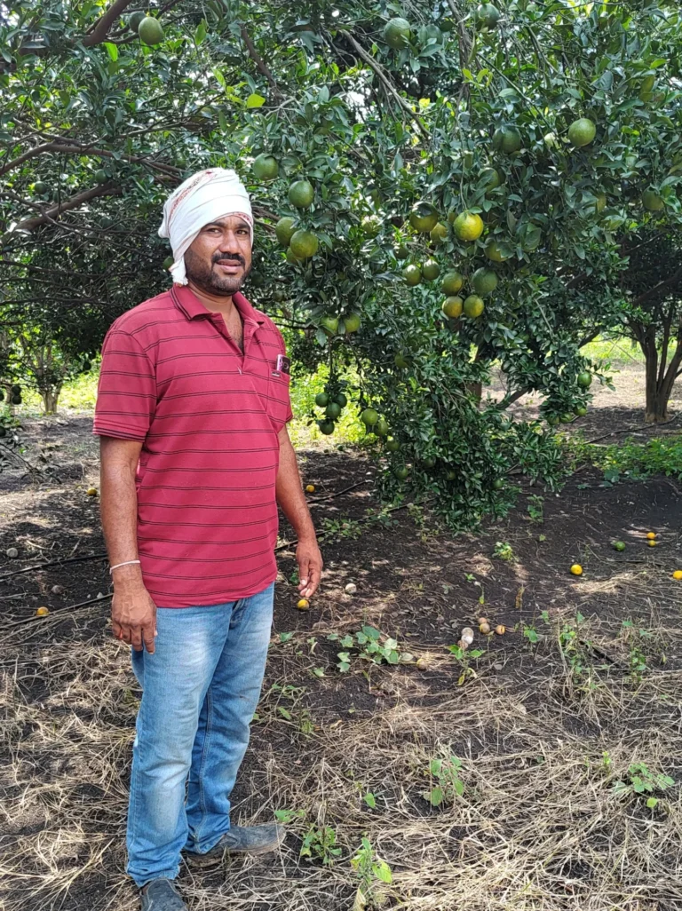 WhatsApp Image 2024-08-31 at 18.40.30_d6dd9c26