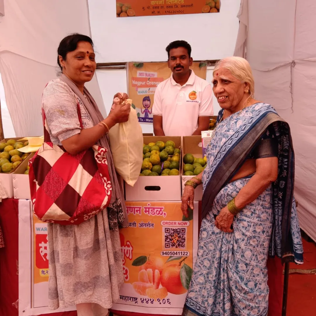 cvbrcocke5alubism7po