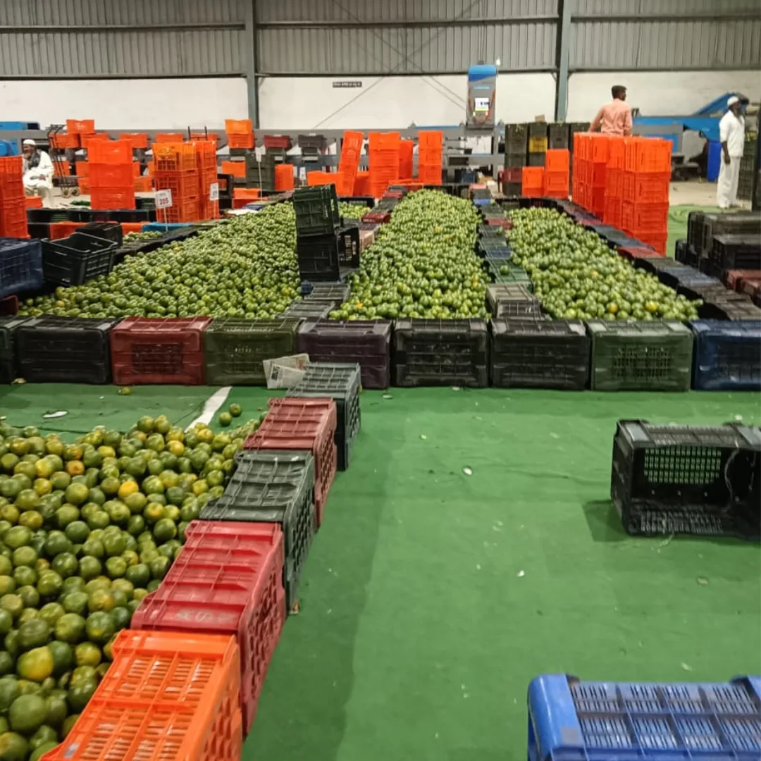 fk3xosut7xzx3ncitrbb