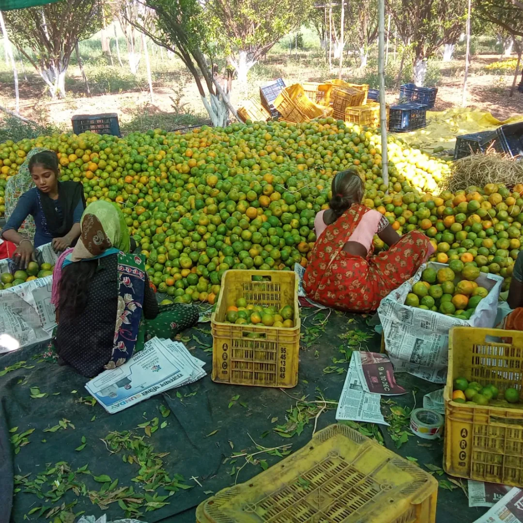 jlby9qdym9nobusej2yj