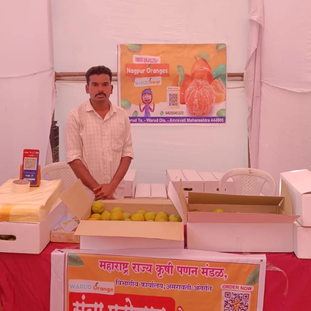 s1na8fwkdhasnop2lw8n