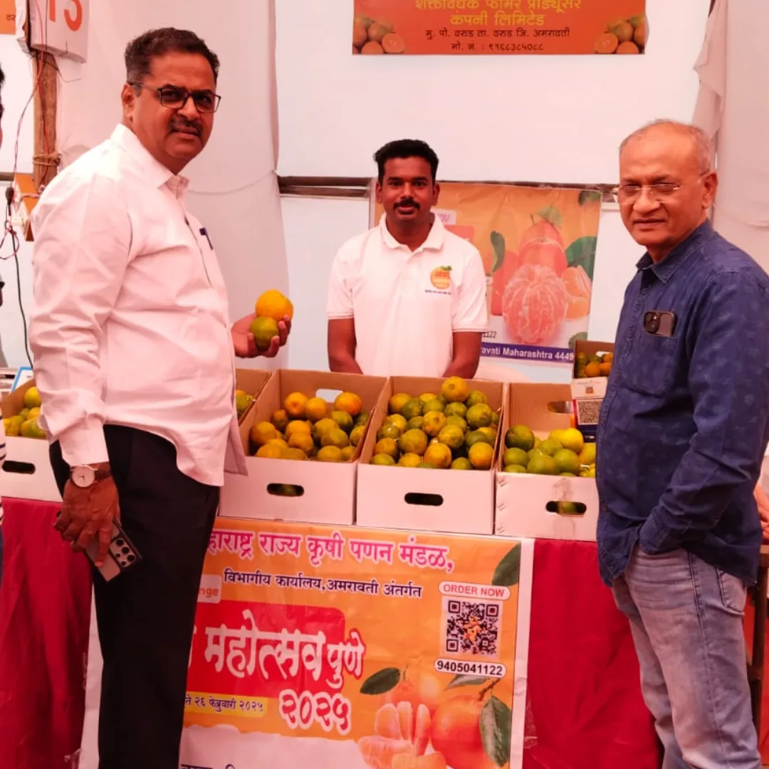 x5l11nk8ora2wknmoaho