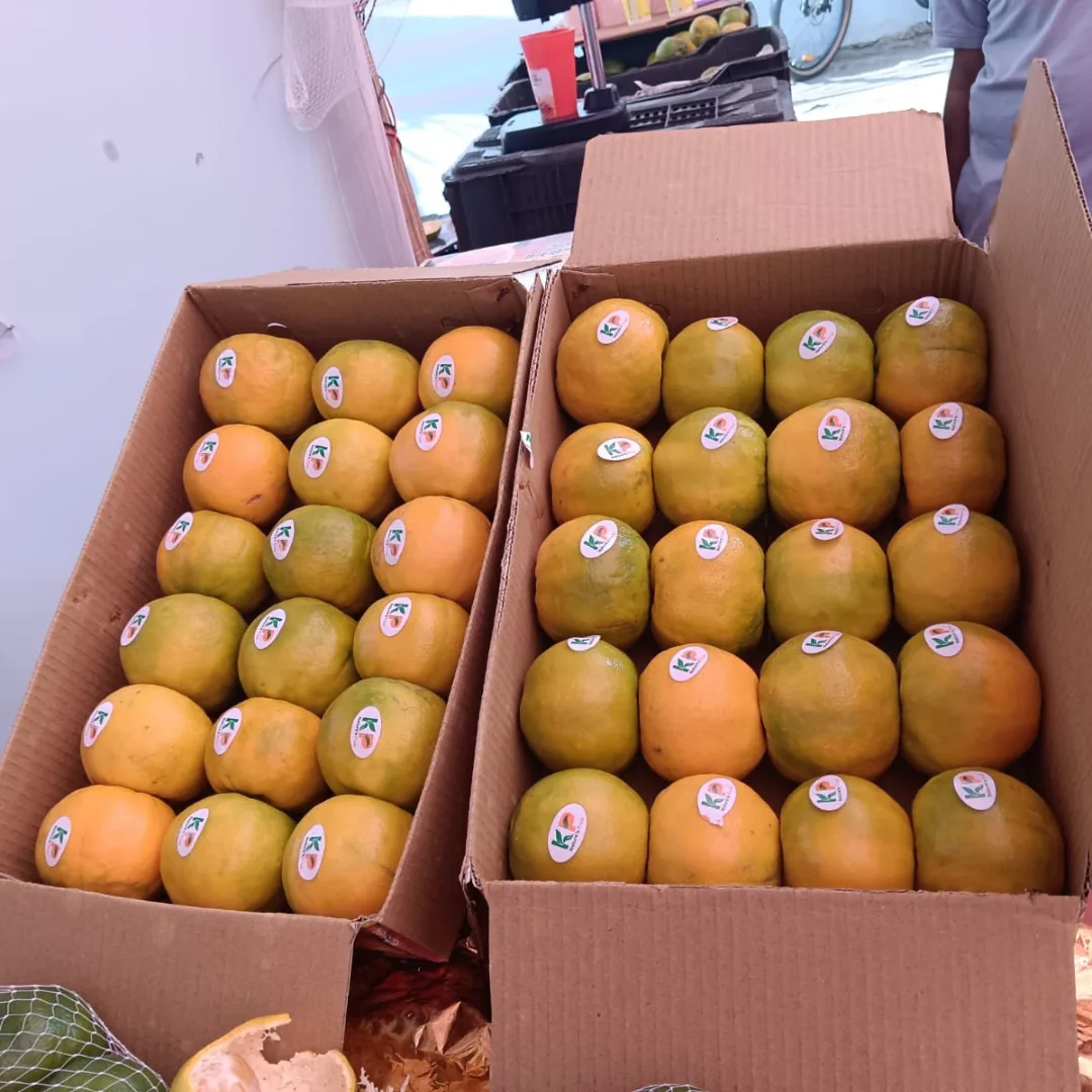 zjtm5cpwqylwcjxrb1xt